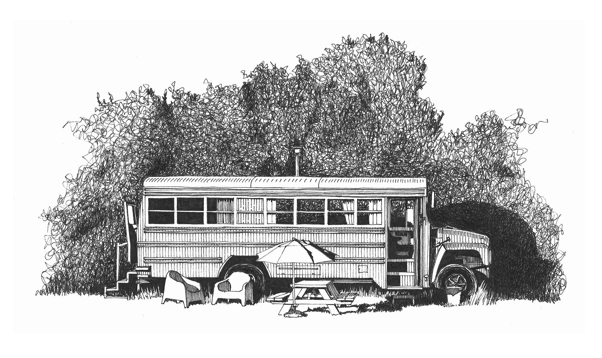 Oude bus geparkeerd voor een dicht bos in een landelijke omgeving.