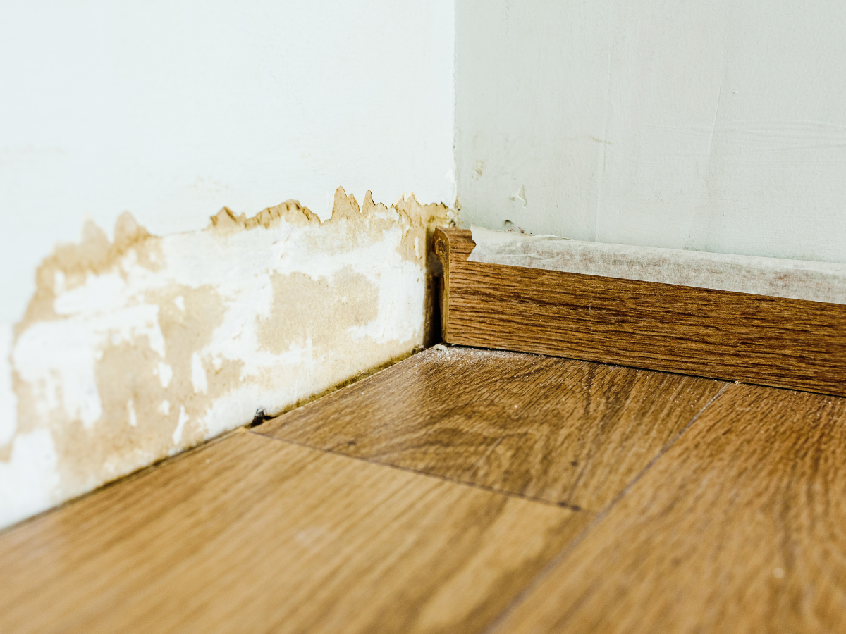 Water-damaged wall and peeling paint above a wooden floor corner