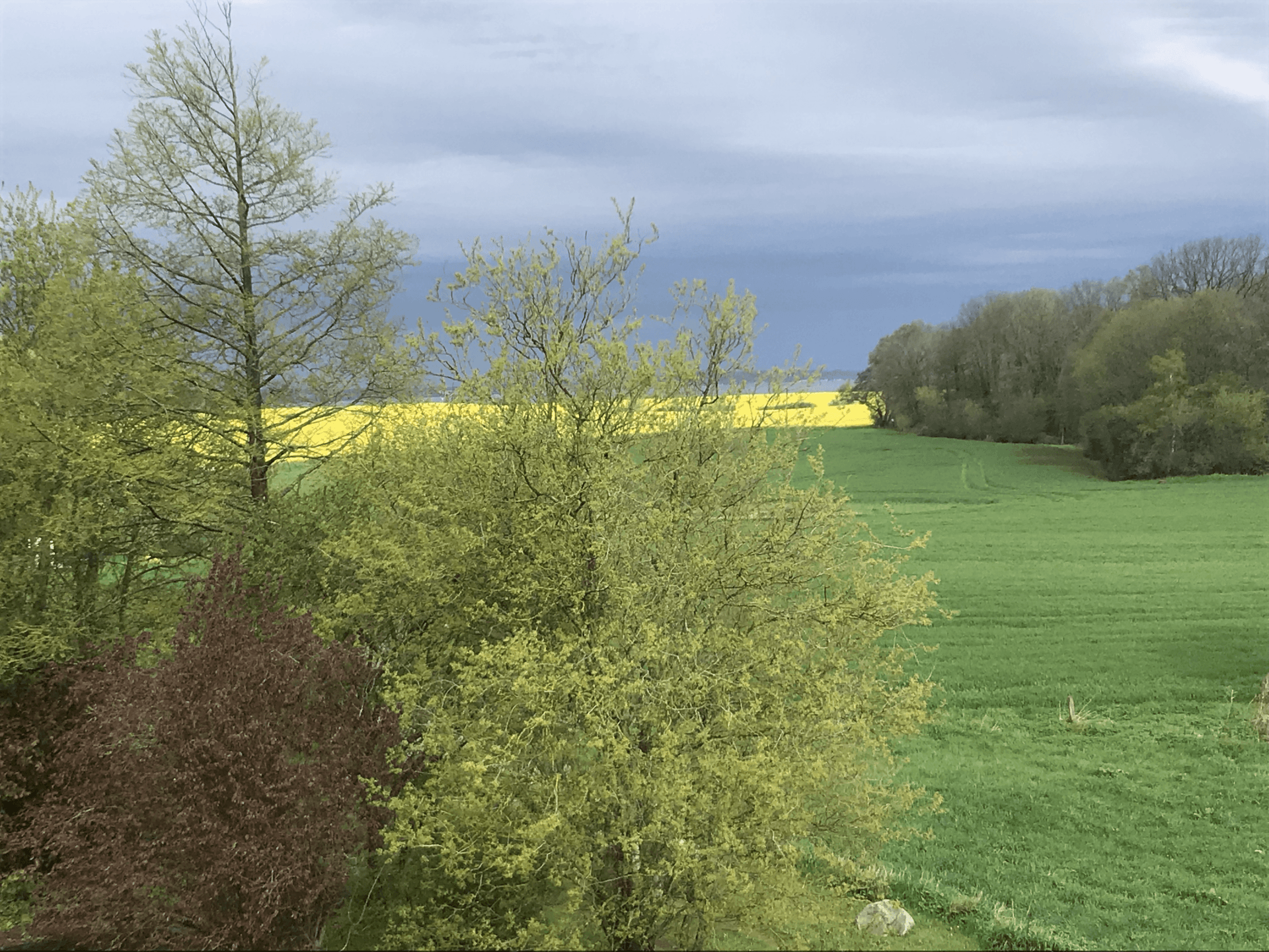 Blick über Felder und das Bodner Steilufer