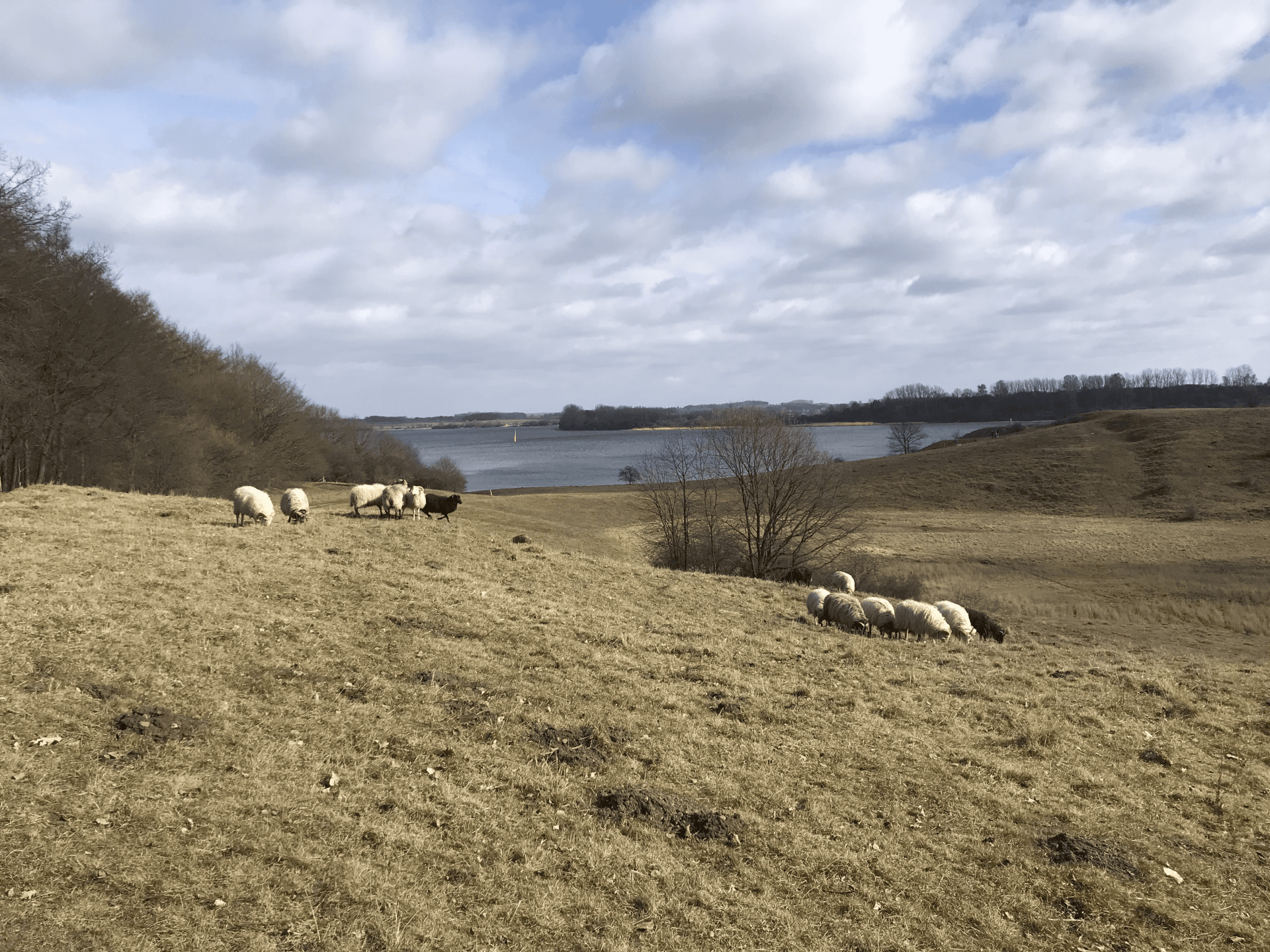 Das Dummersdorfer Ufer bei Lübeck