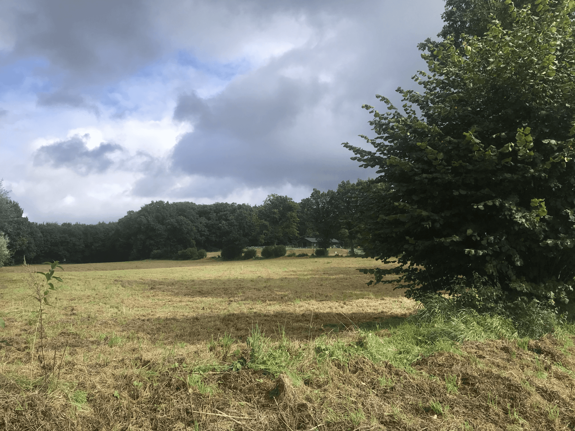 Typische Ostholsteiner Landschaft
