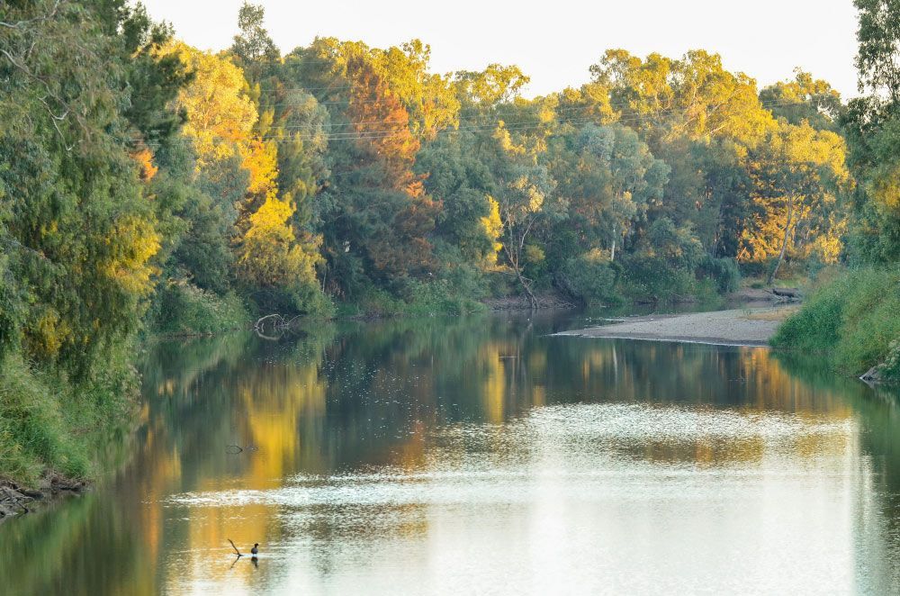 A River Surrounded by Trees — Tamworth Manual Transmission Factory in Narrabri, NSW