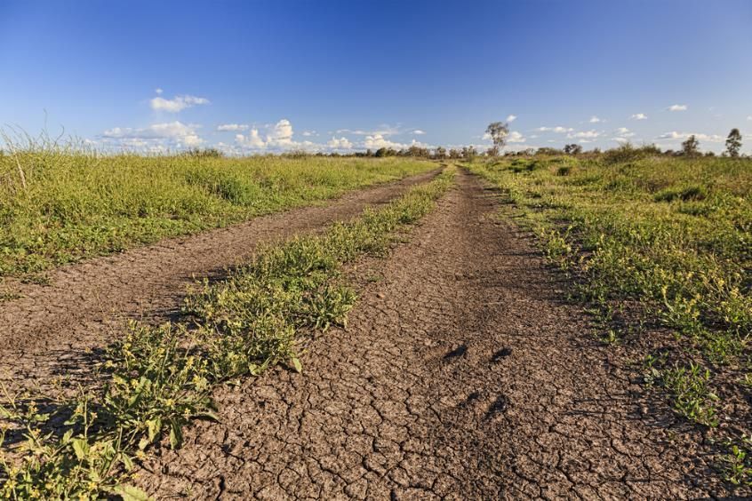 A Dirt Road Going Through a Grassy Field — Tamworth Manual Transmission Factory in Moree, NSW A Dirt Road Going Through a Grassy Field — Tamworth Manual Transmission Factory in Moree, NSW