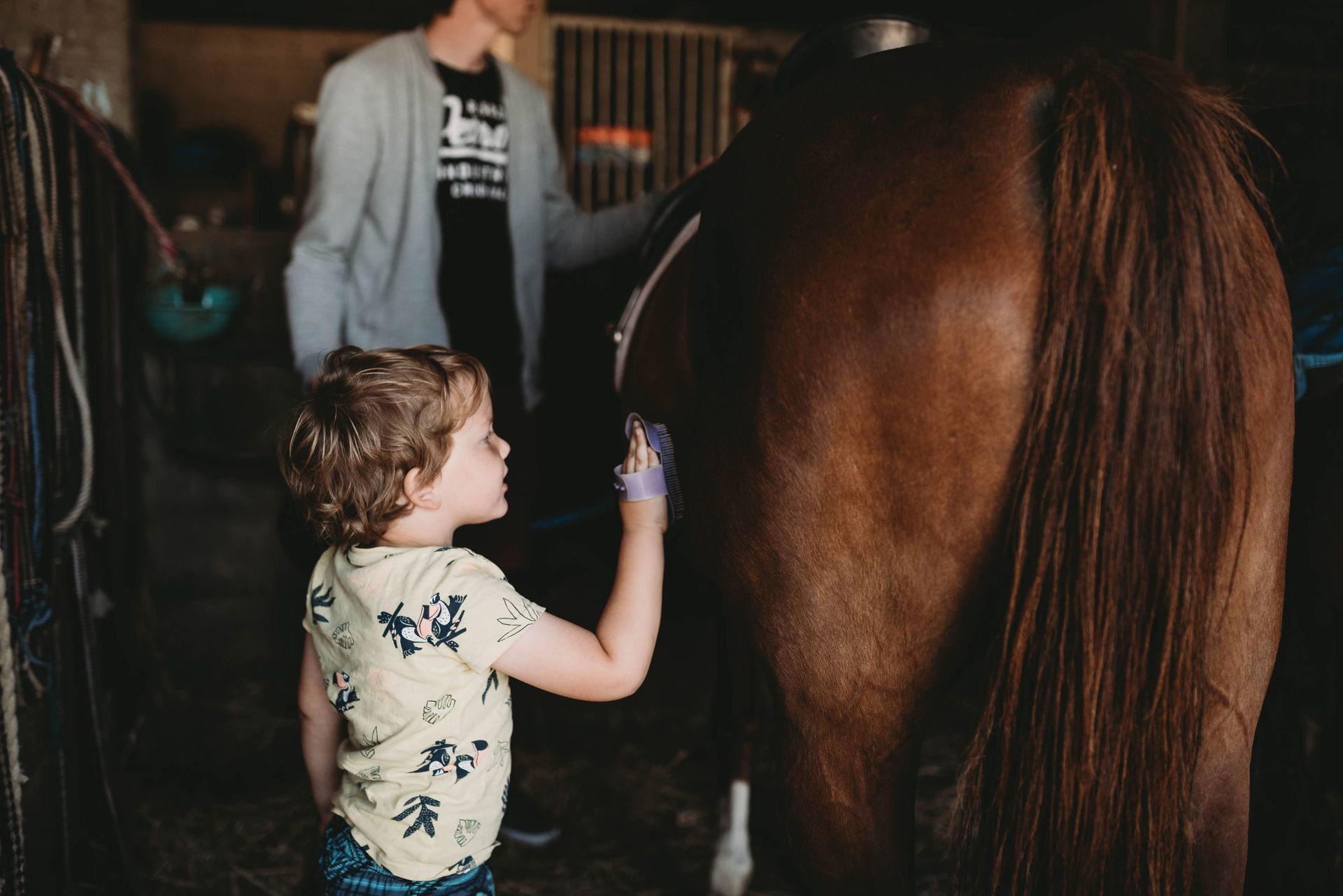Paarden borstelen tijdens een fotoshoot op de boerderij