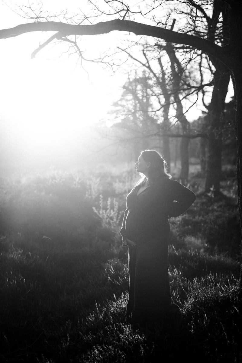 Silhouette of a person standing in a sunlit field among bare trees