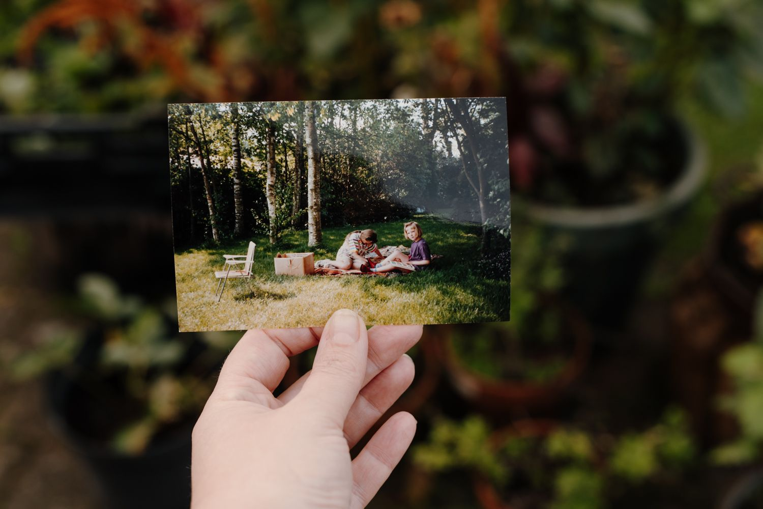 Wat de moestuin en fotografie voor mij aan elkaar verbindt