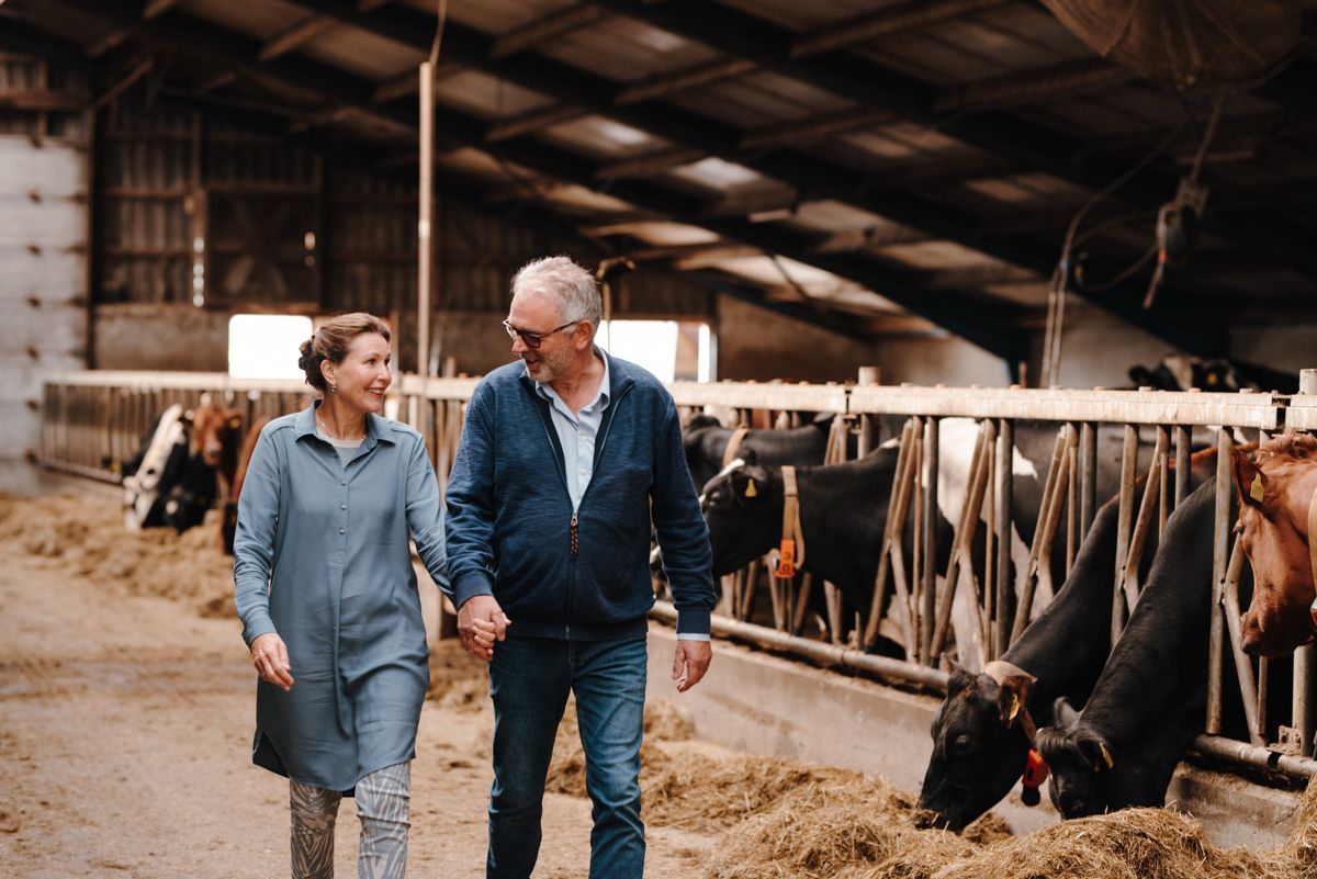 Twee mensen lopen door een melkveestal en voeren koeien in een met stro bedekte gang.