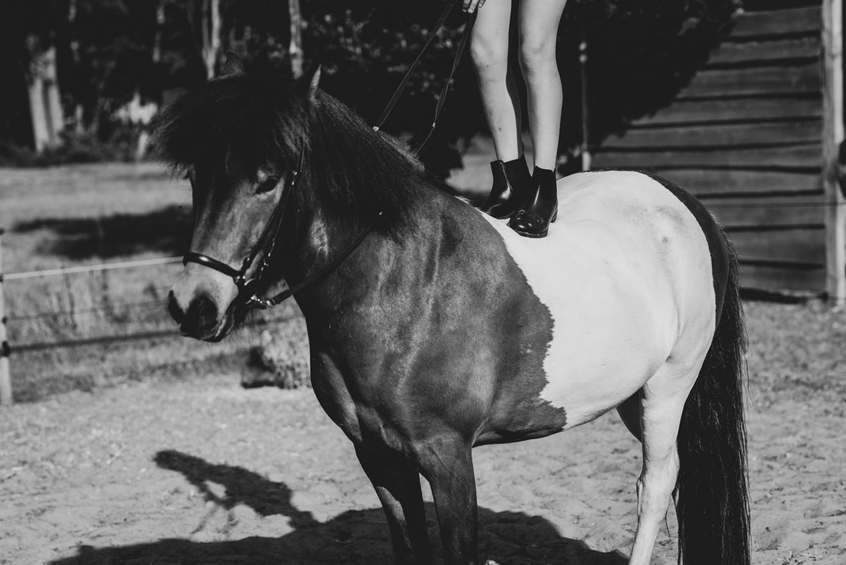 Fotoshoot bij gezin thuis