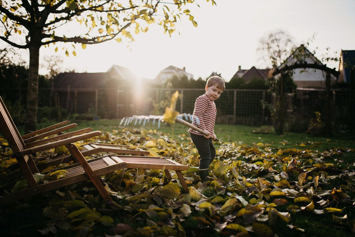 Fotoshoot in de achtertuin van een gezin. Herfstbladeren opharken