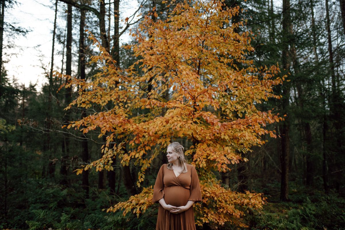 Fotoshoot in het bos