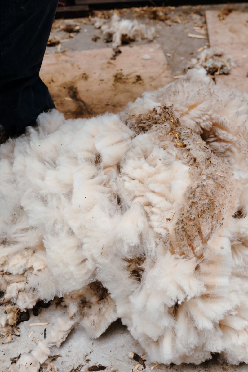 Wol ligt op een grote hoop
