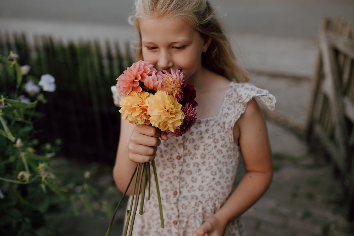 Meisje met een prachtige bos dahlia's in haar hand en ruikt eraan tijdens een fotoshoot in de pluktuin