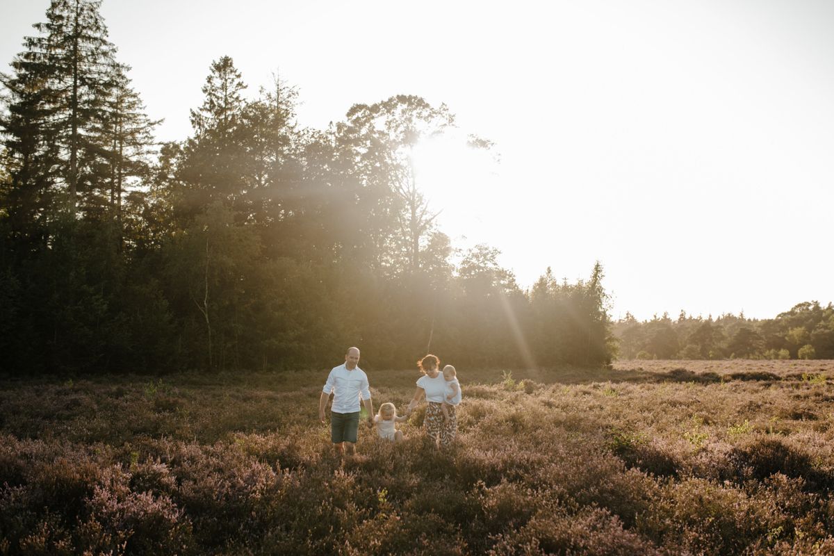 Gezin wandelt door de heide