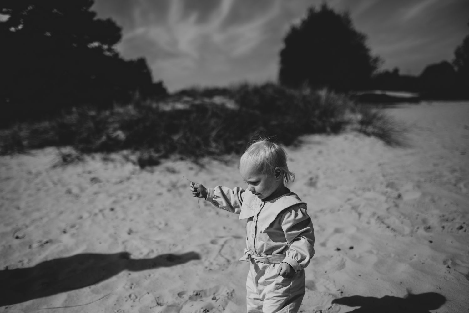 Gezinsshoot in Friesland