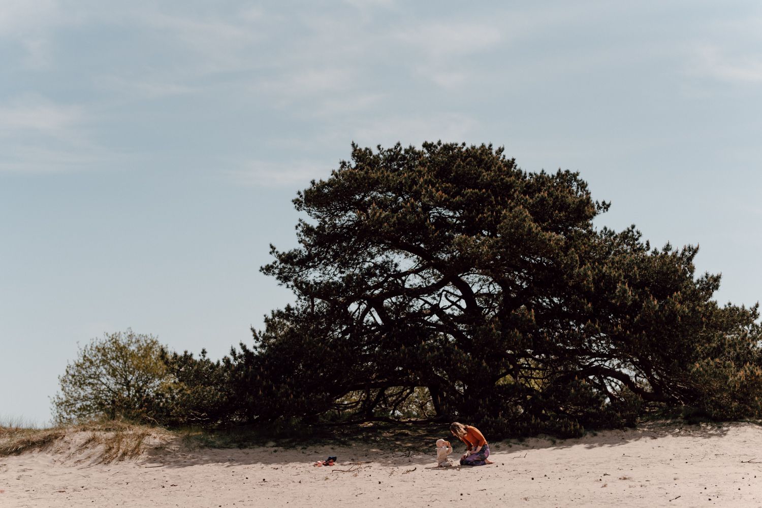 Gezinsshoot in Friesland