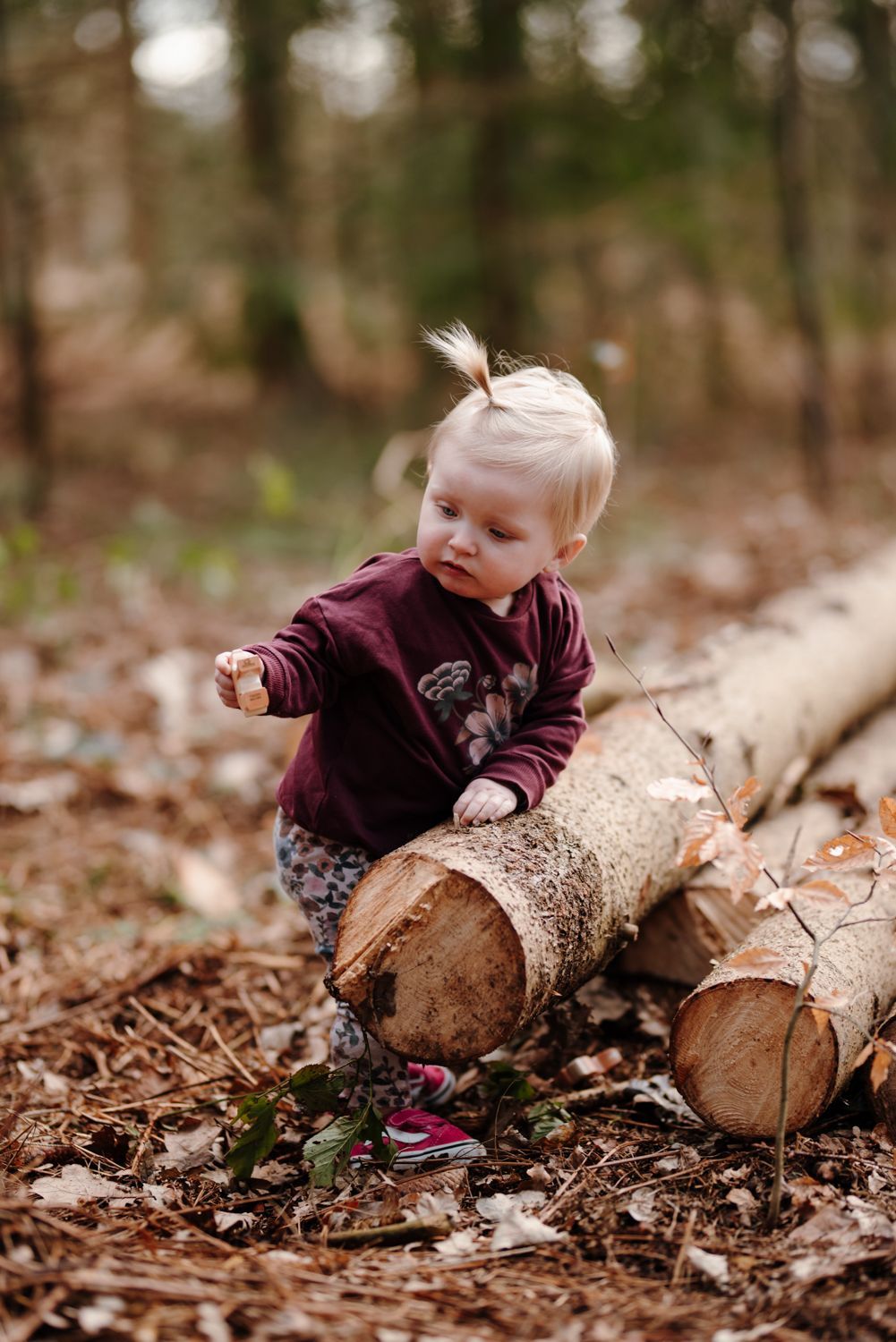 Gezinsshoot in het bos