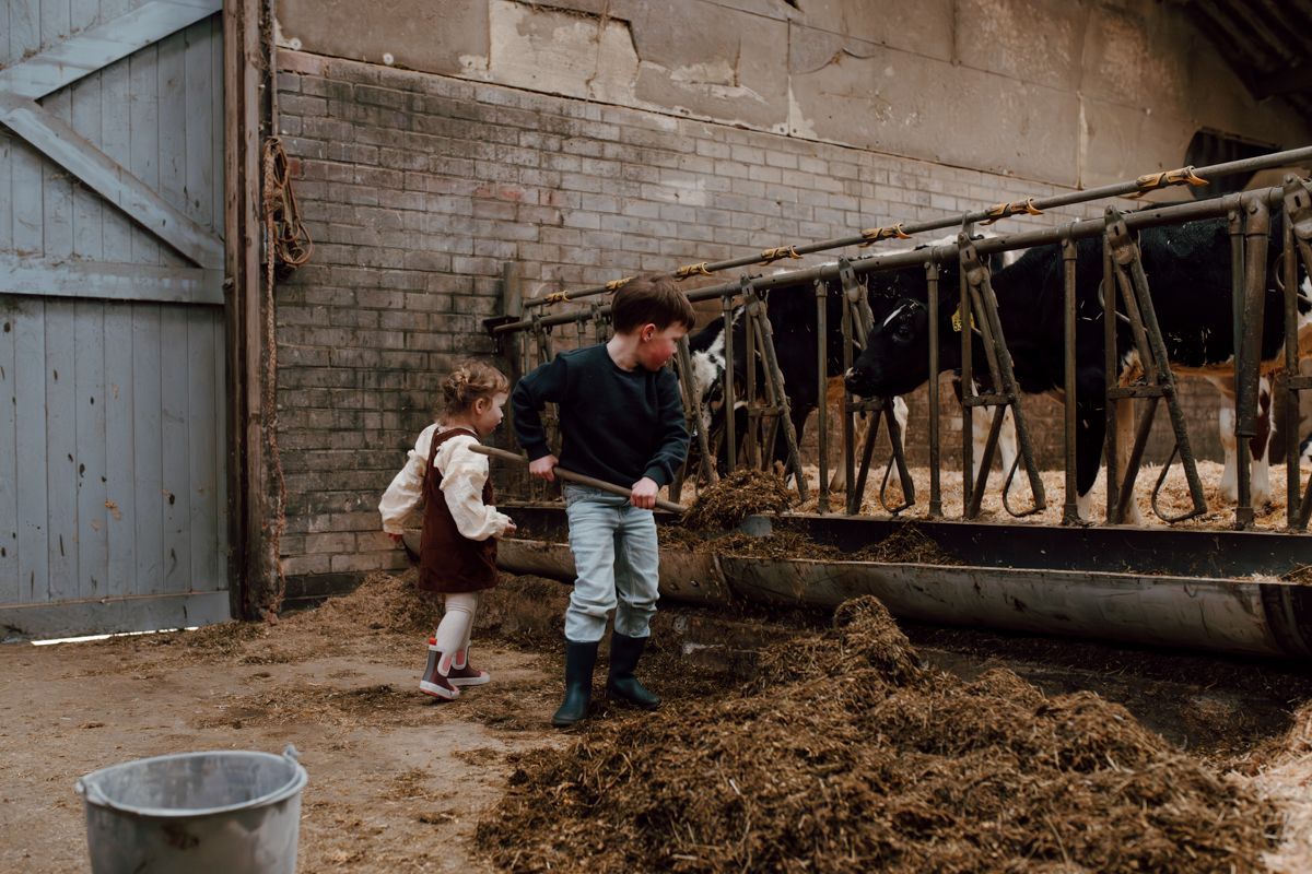 Gezinsshoot op de boerderij – Fotograaf Friesland