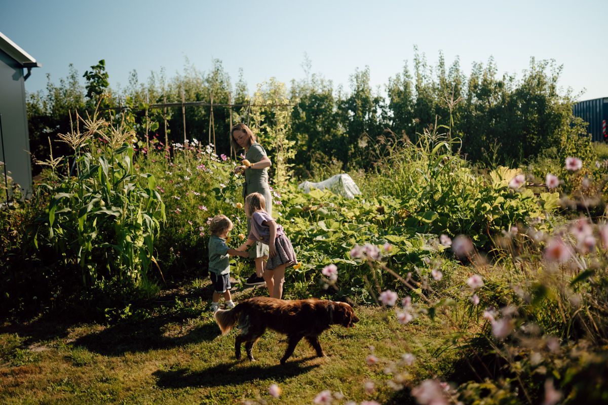 Mama, twee kinderen en een hond zijn aan het moestuinieren tijdens een fotoshoot