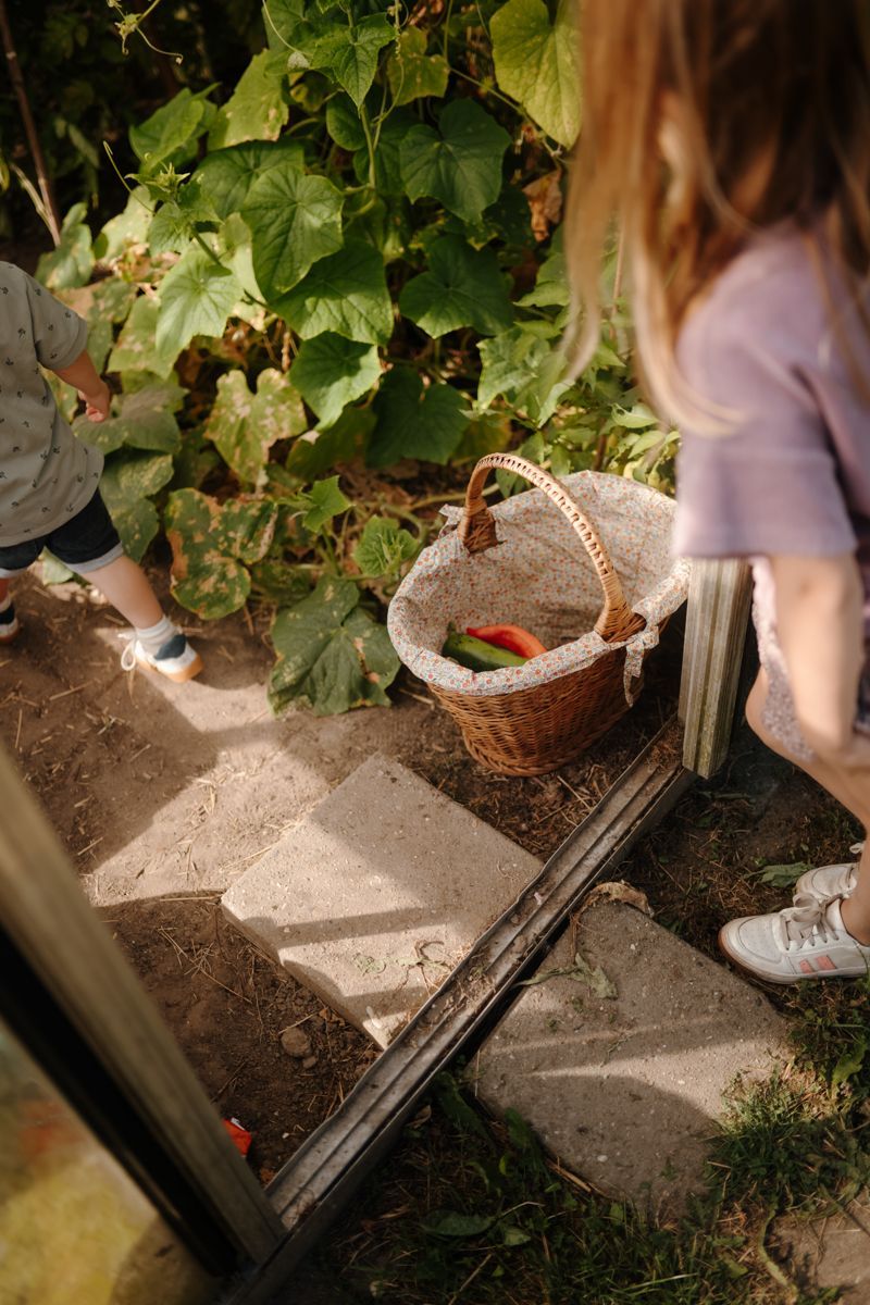 A child stands by a wicker basket of tomatoes in a garden beside a glass door.