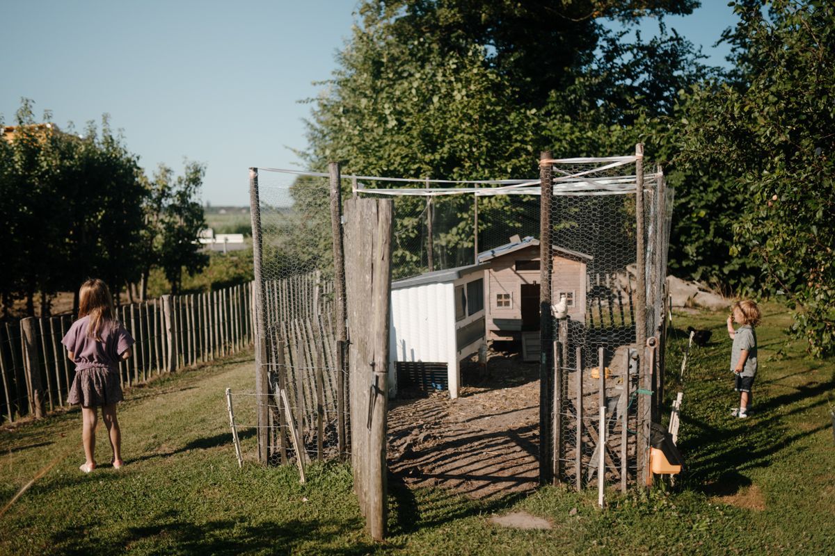 Overzicht van de kippenren in de achtertuin met aan weerszijden een kind