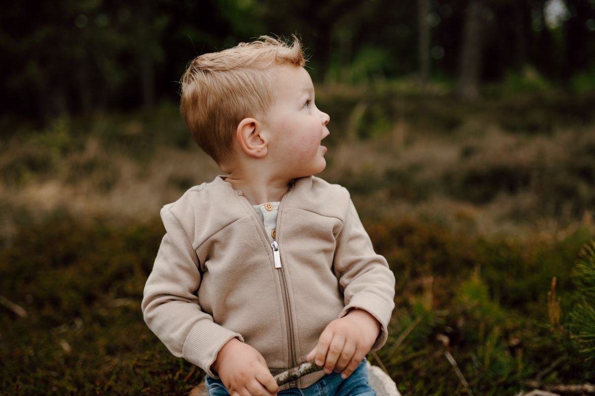 Hoe bereid je je voor op een gezinsstoot in het bos