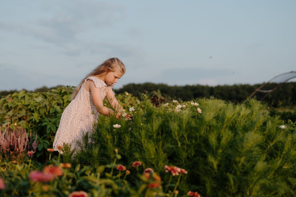 Gezin bloemen plukkend in Hanna's Pluktuin in Makkinga, Friesland