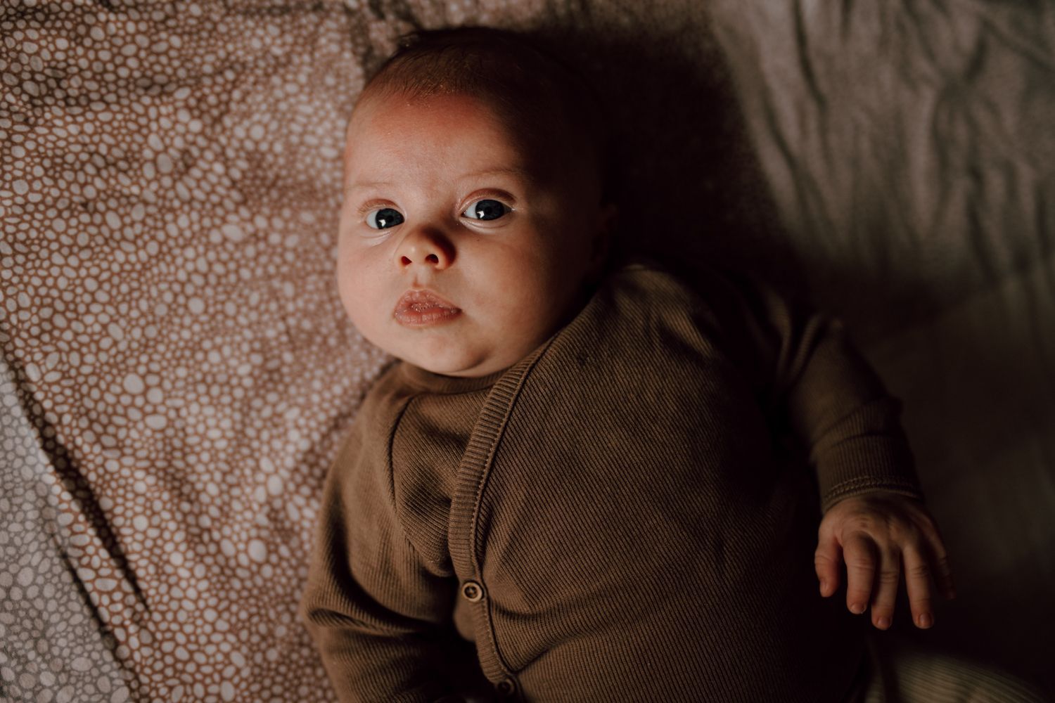 Newbornshoot in Leeuwarden