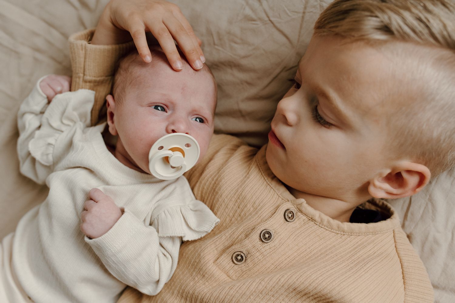 Newbornshoot in Stiens
