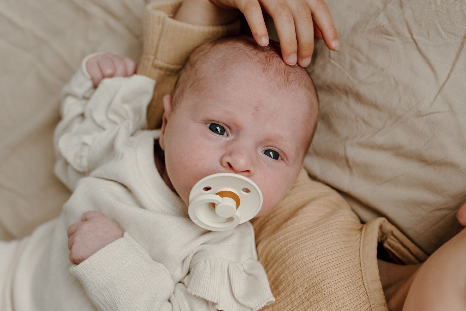 Newbornshoot in Stiens