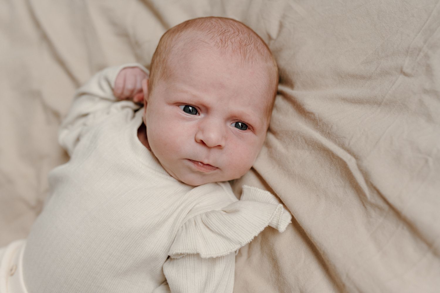Newbornshoot in Stiens Newbornshoot in Stiens