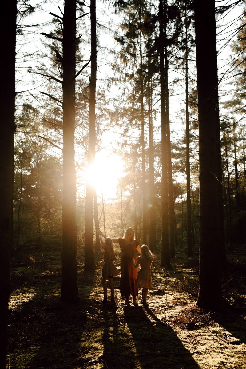 Mensen wandelen tussen hoge bomen bij zonsondergang, terwijl het zonlicht door het bos schijnt.