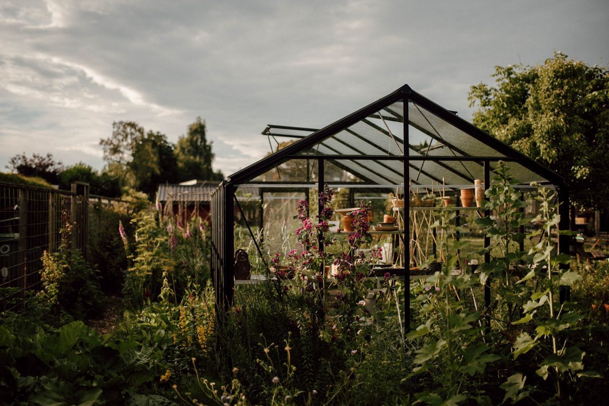 Een kas is op een bewolkte dag omgeven door planten en bomen
