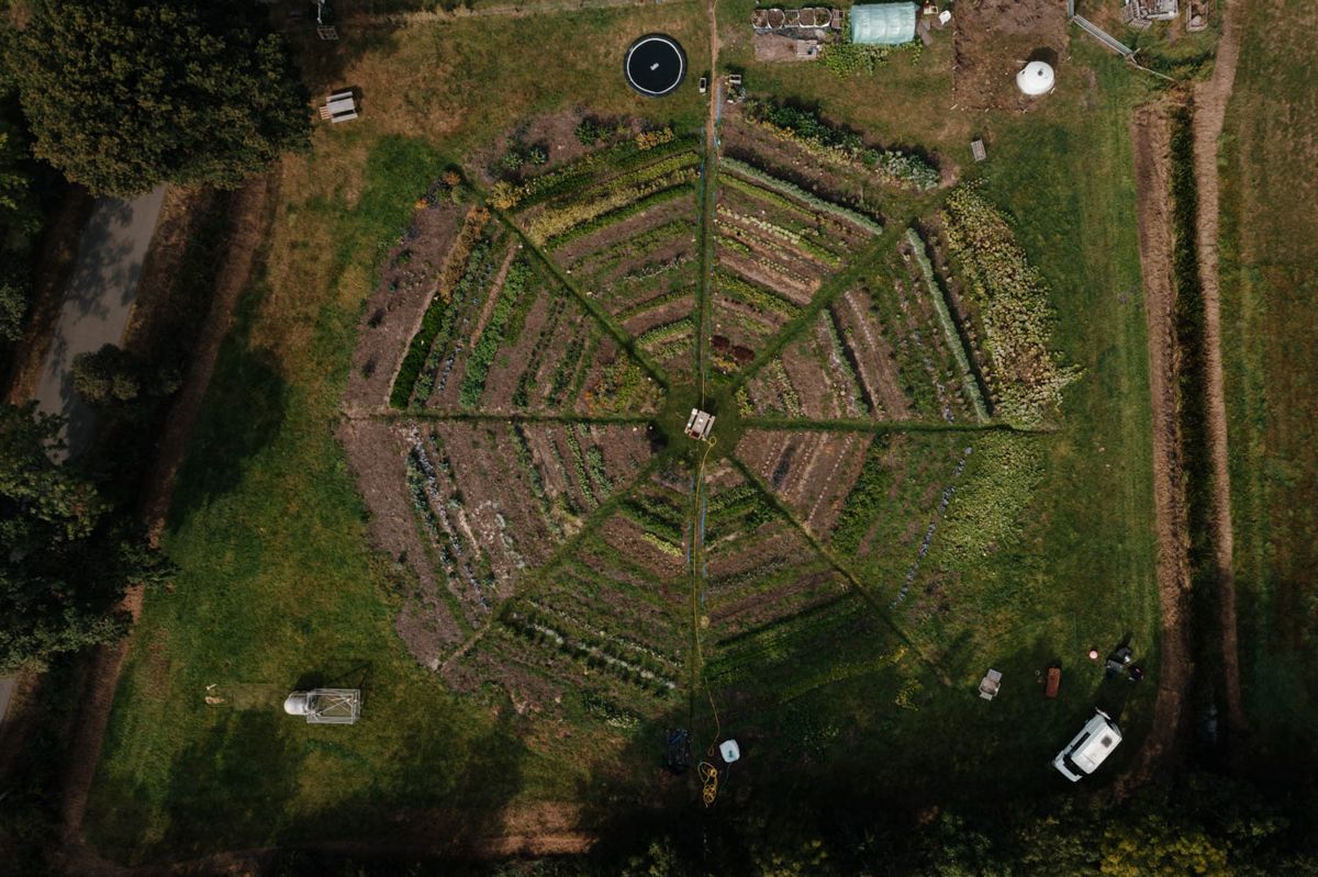 Een luchtfoto van een tuin met een klok in het midden