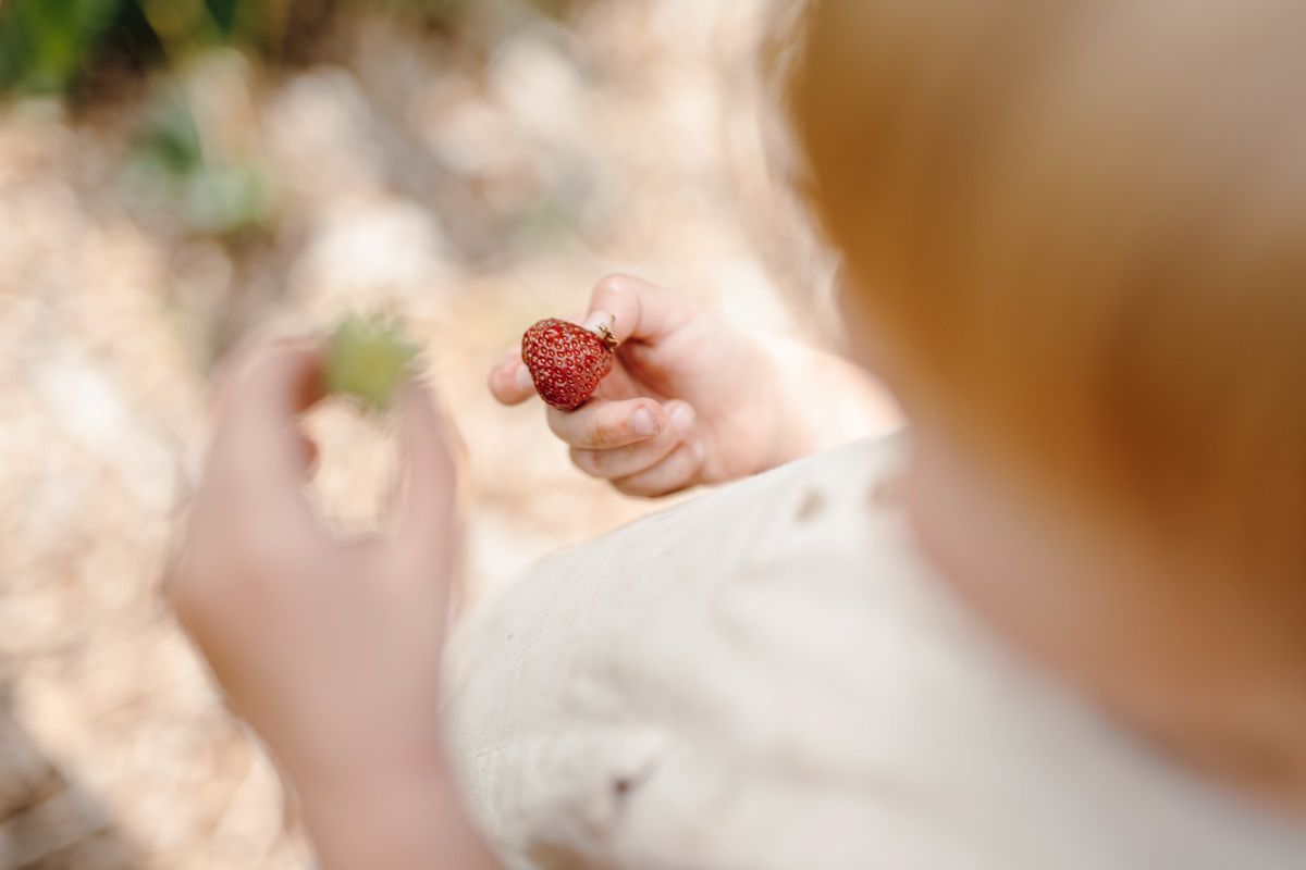 Een persoon houdt een aardbei in zijn hand.