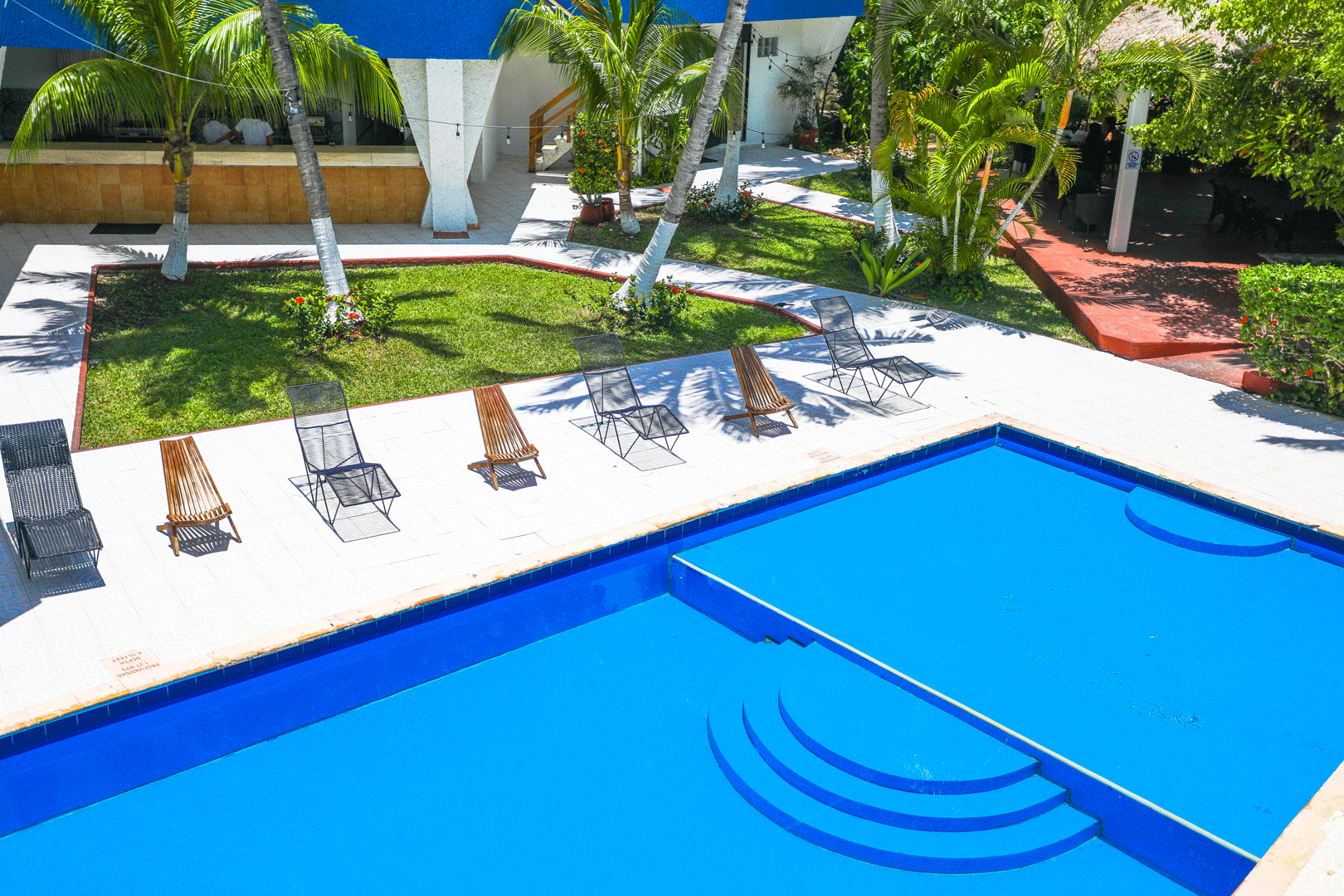 Área de piscina con agua azul brillante, tumbonas, césped verde y palmeras.