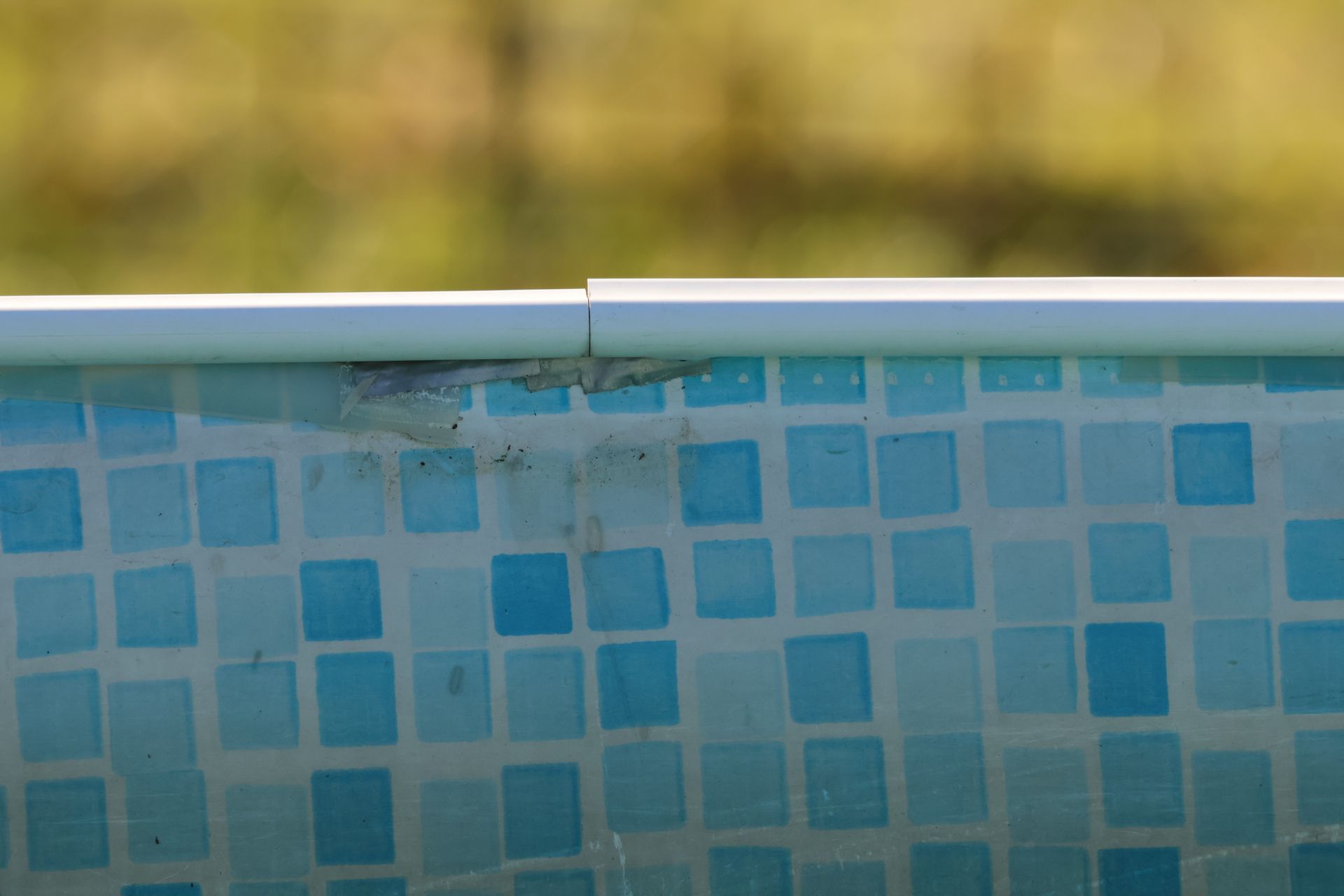 Blue tiled pool edge with waterline against a blurred outdoor background