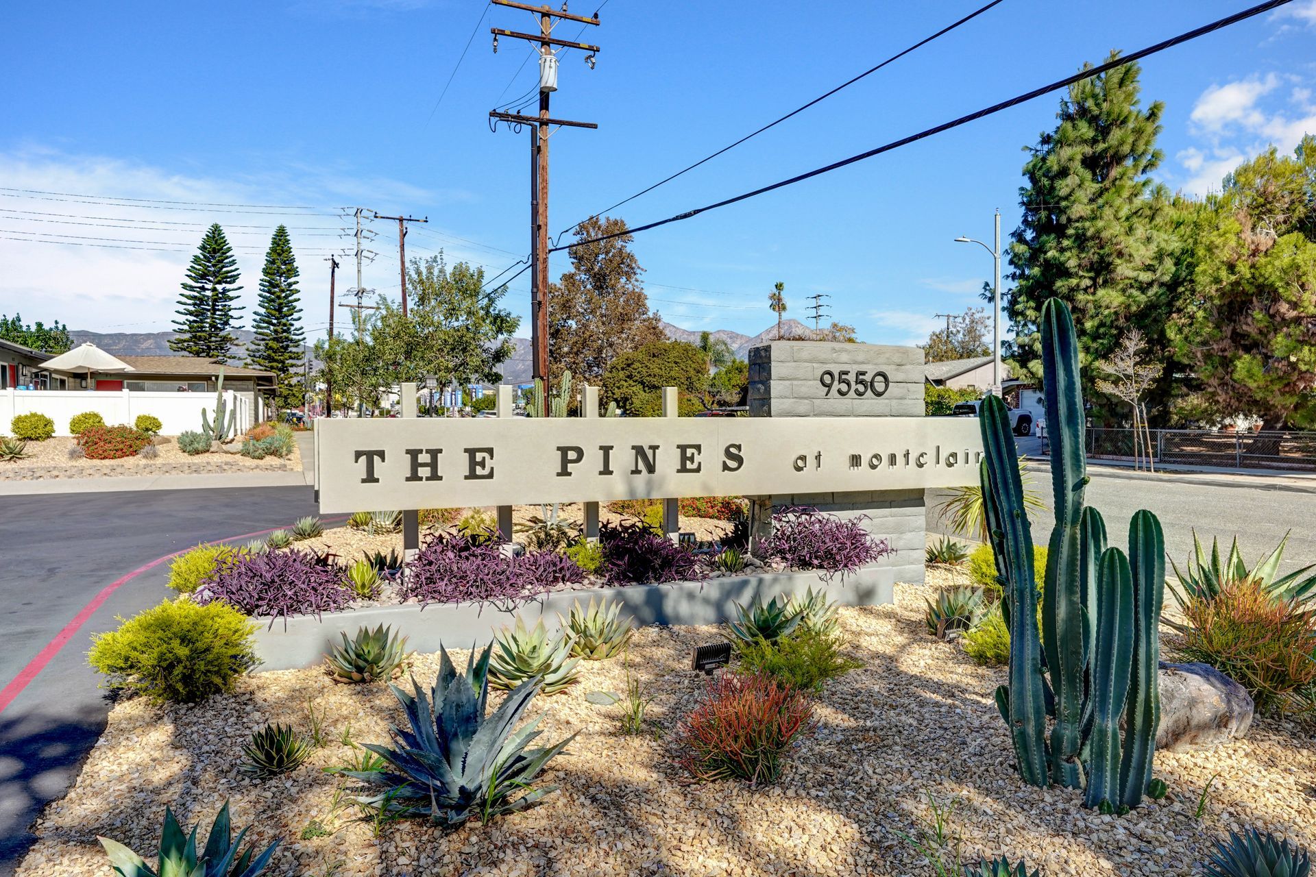 Photo gallery of the Pines Apartments Interior and Exterior Images