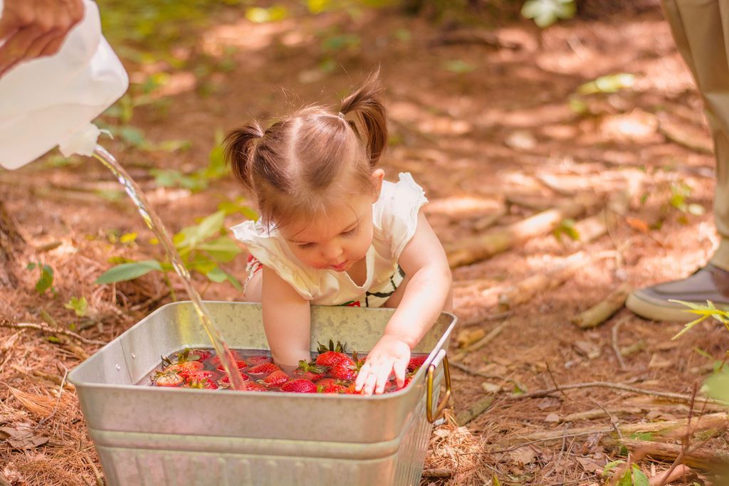 Child picking strawberries from a metal tub outdoors, with an adult pouring water nearby.
