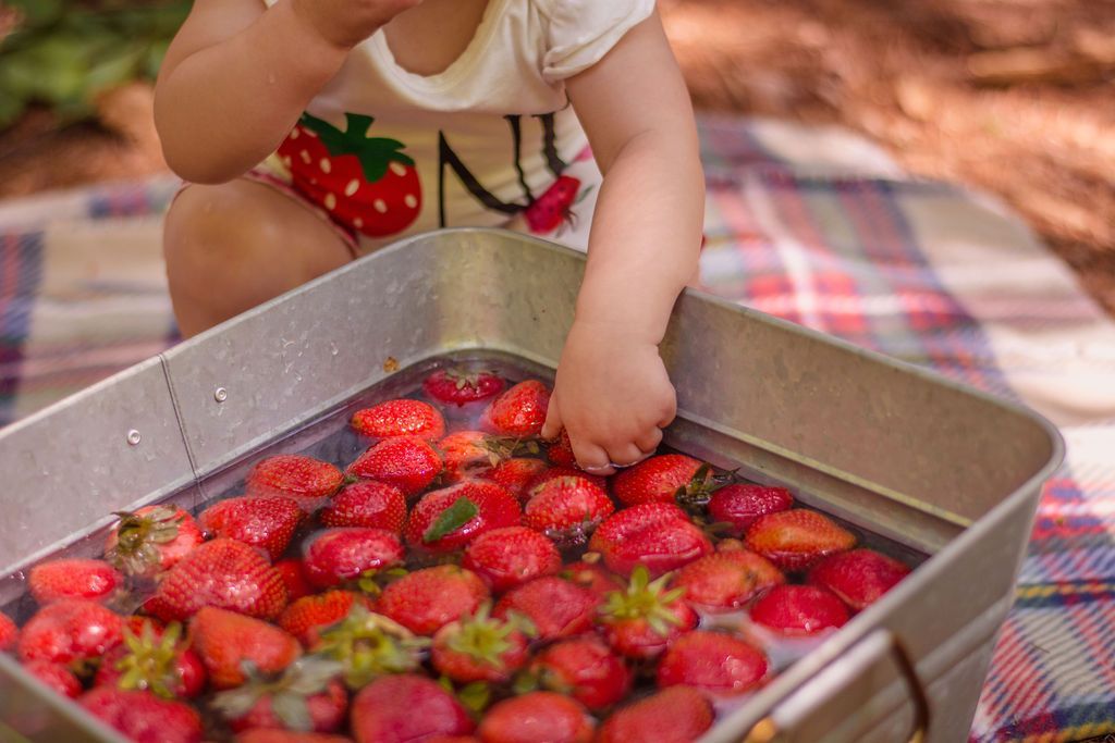 Child reaching into a tray of strawberries on a picnic blanket