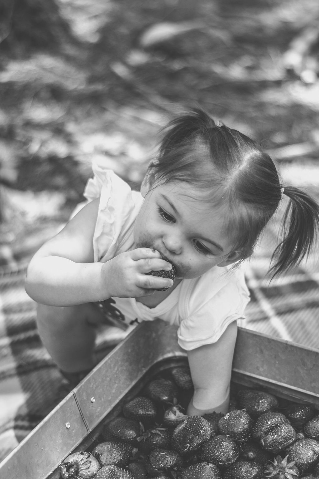 Child smiling while eating a strawberry beside a crate of strawberries outdoors