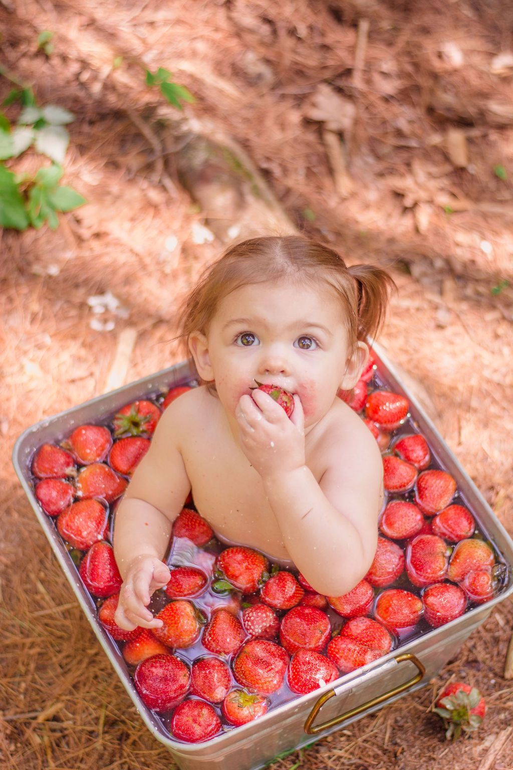 Toddler in a box of strawberries outdoors, hand in mouth, with a curious expression.