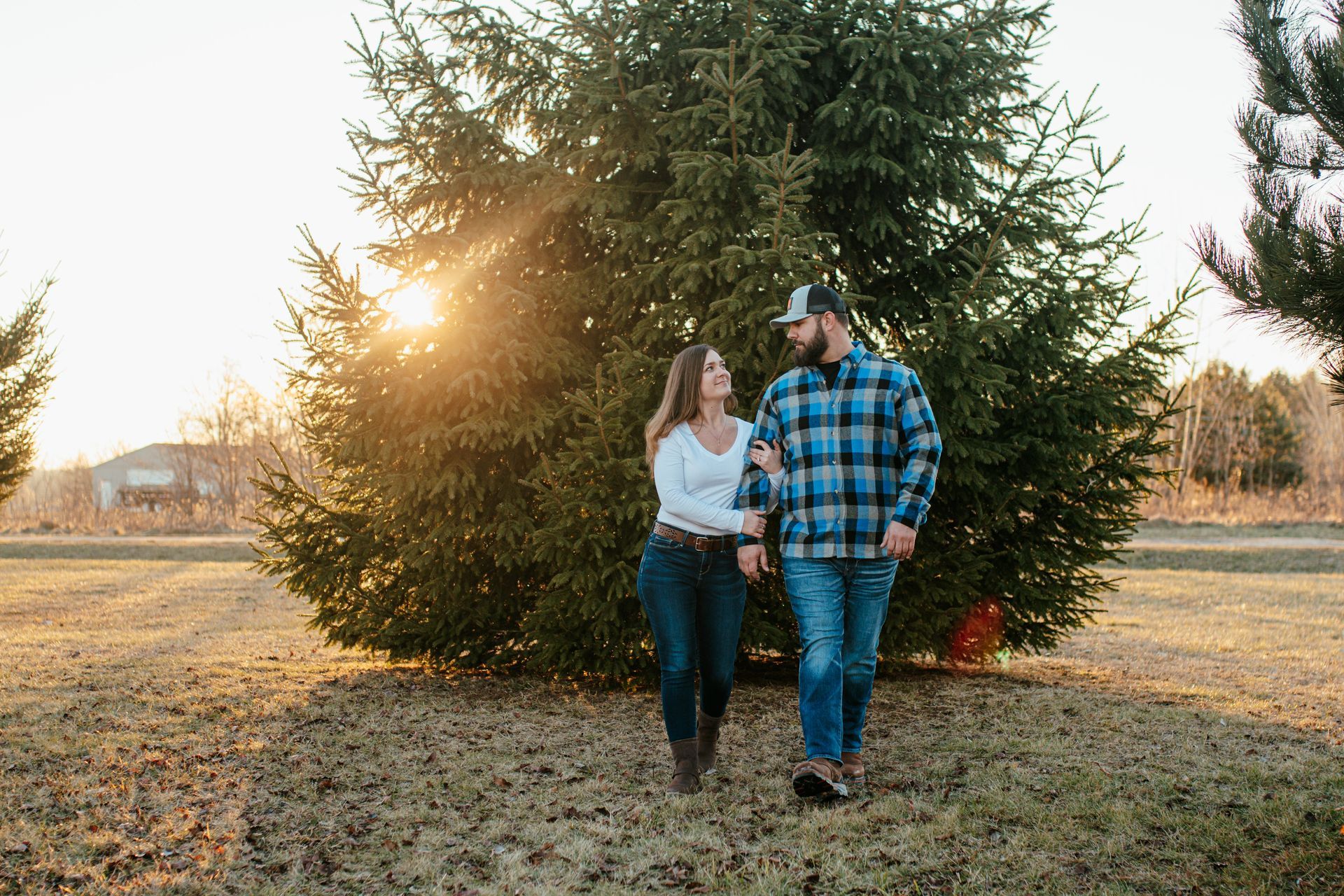 Couple walking beside a large evergreen tree at sunset in a grassy field