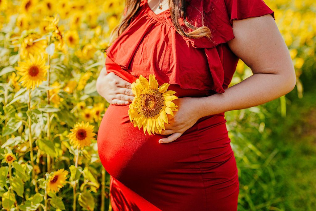 Pregnant person in a red dress holding a sunflower in a sunflower field