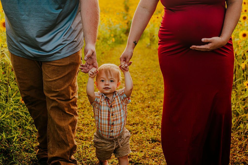 Family walking hand in hand through a golden field, toddler in the center between two adults