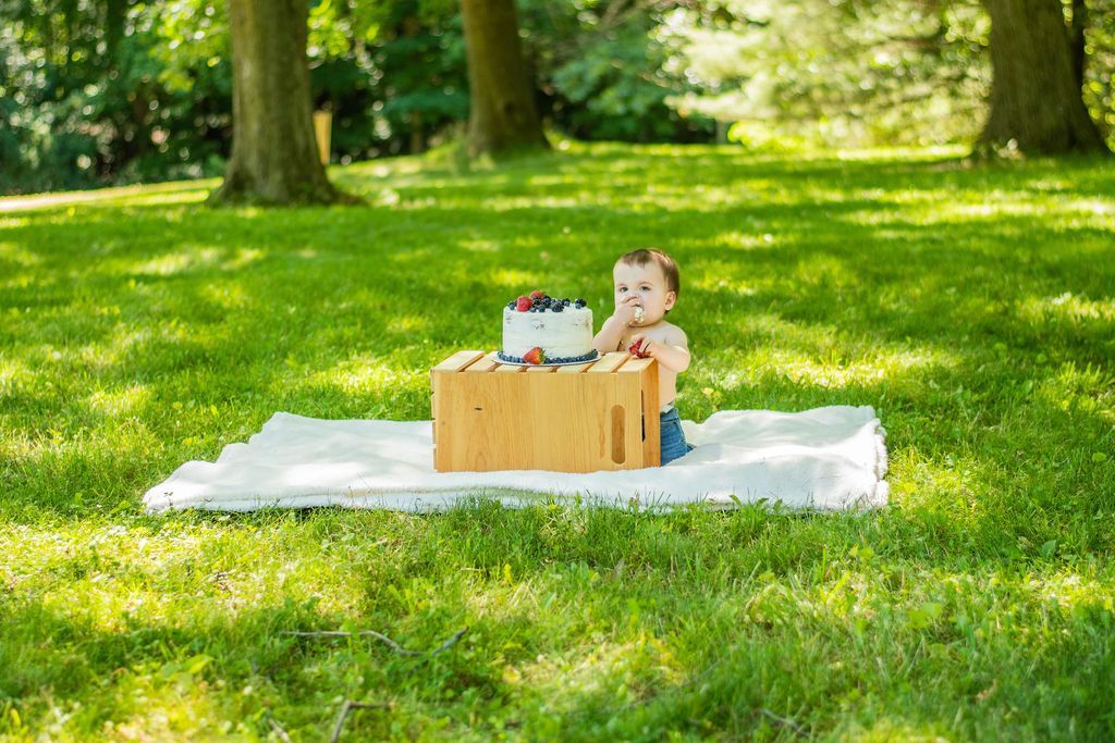 Child sitting on a picnic blanket in a sunny park beside a wicker basket with drinks and food