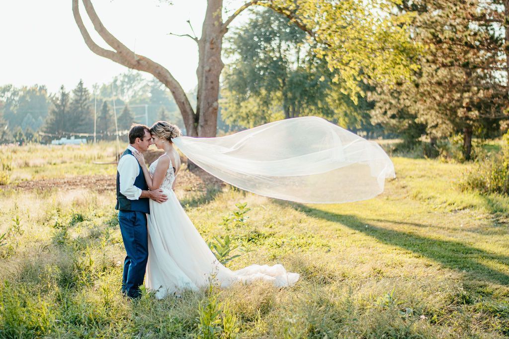 Bride and groom kissing in a sunlit field, her veil blowing in the wind