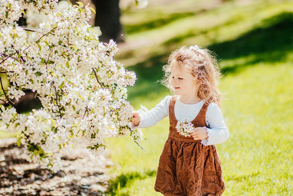 Toddler in brown overalls reaching toward white blossoms in a sunny garden
