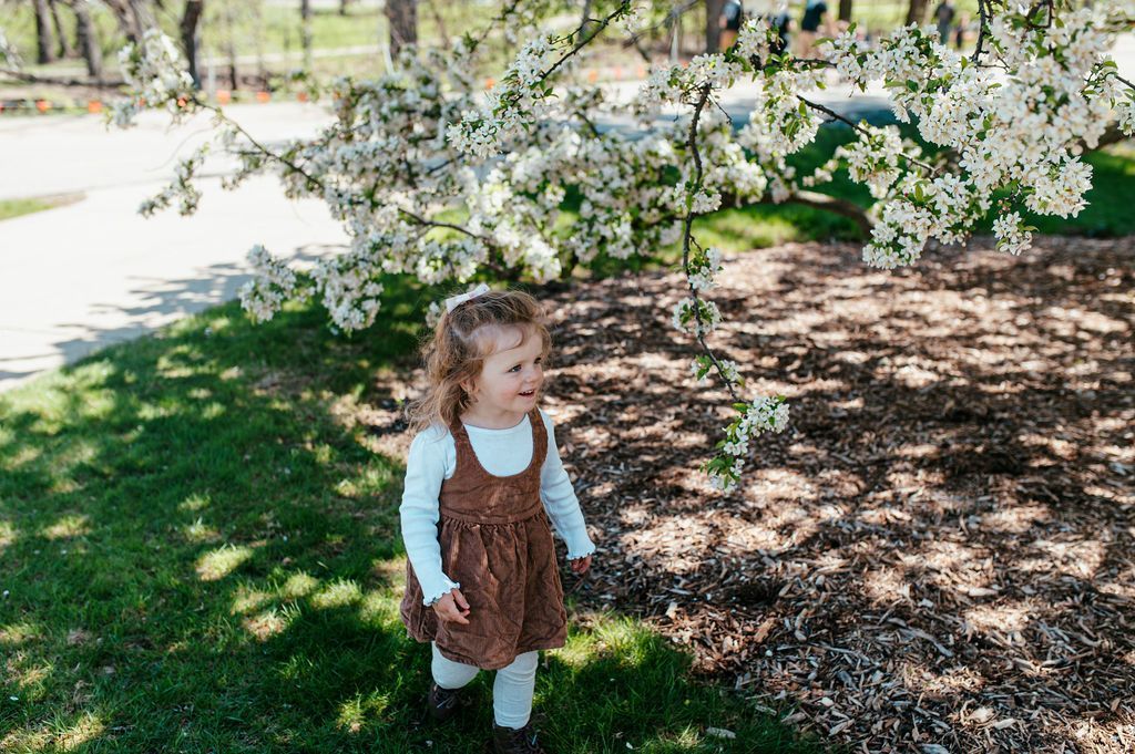 Young child in a brown dress standing under white flowering tree branches in a sunny park