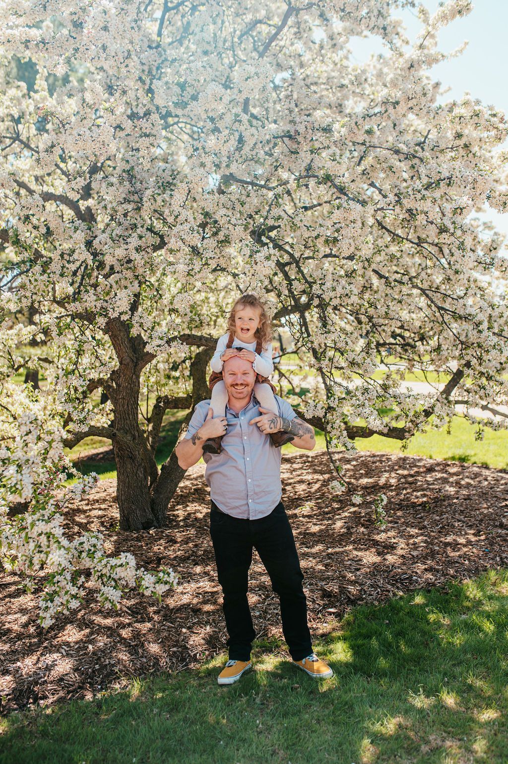 Adult holding a child on shoulders under a blooming white tree in a sunny park