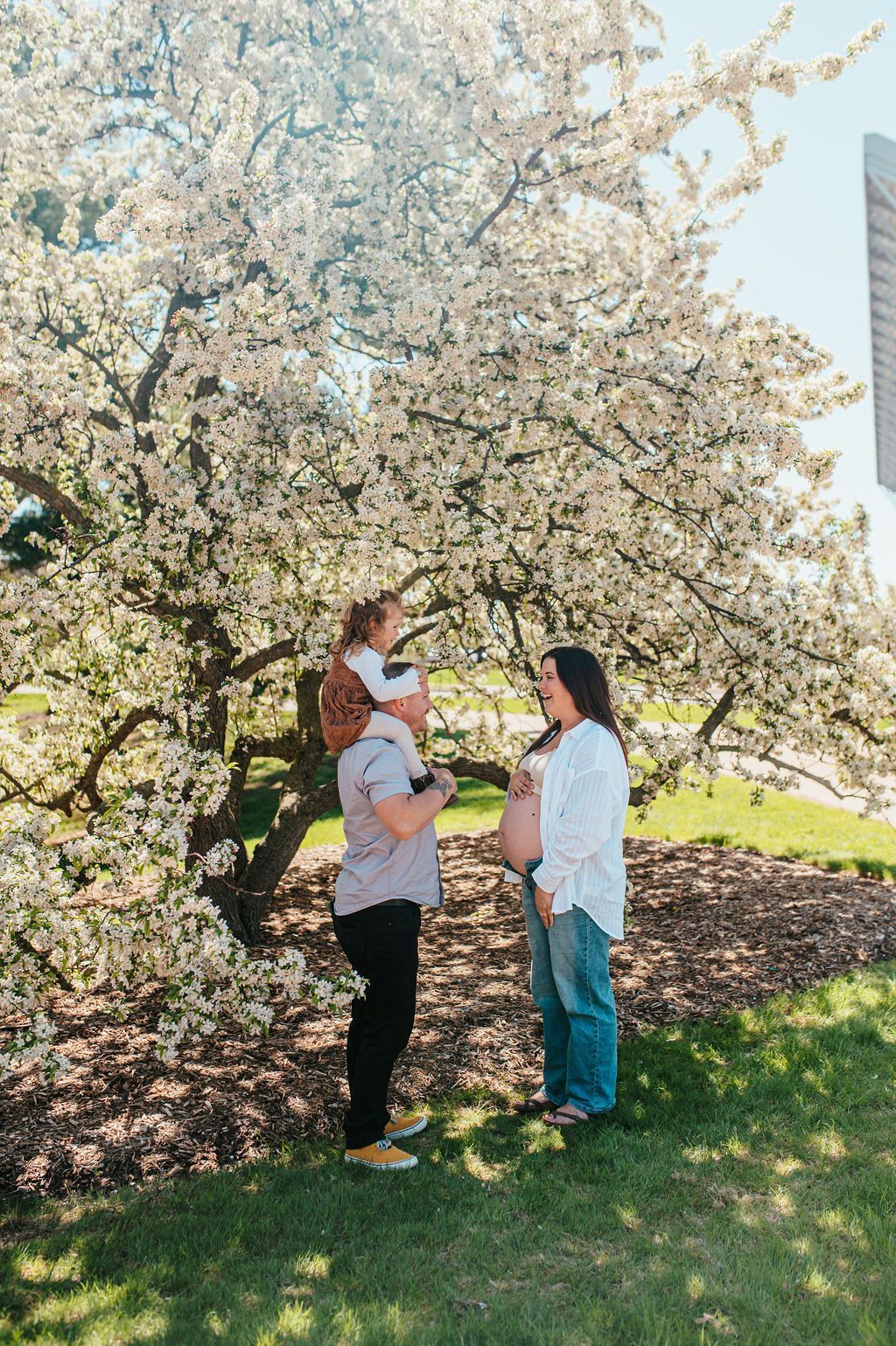 Two adults and a child under blooming white cherry blossoms in a sunny park